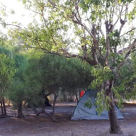 Blue Aura Camping Κάμπινγκ Κολυμπήθρες